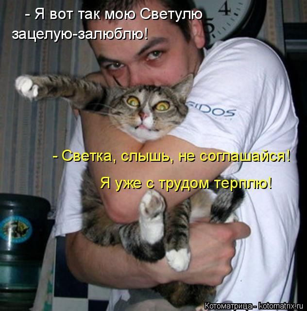 Лучшие котоматрицы недели