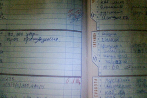 Что у вас, ребята, в дневниках?