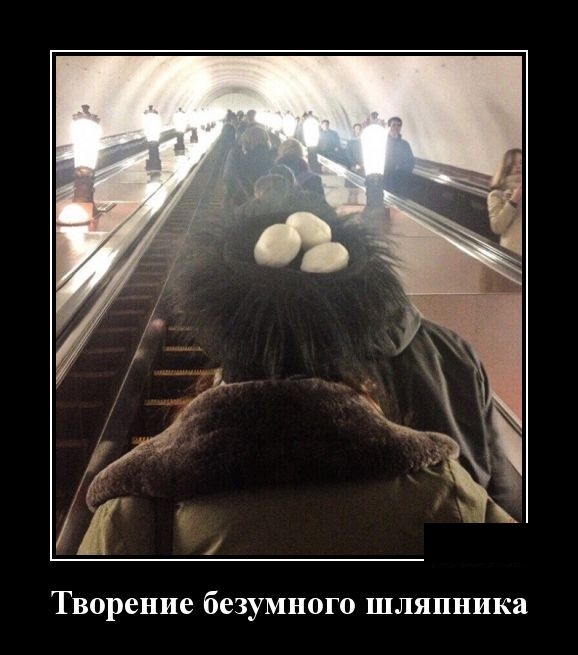 Демотиваторы Демотиваторы