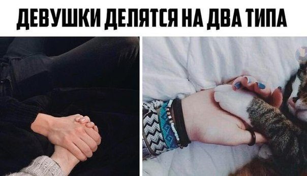 30 приколюх, чтобы зарядиться на всю неделю