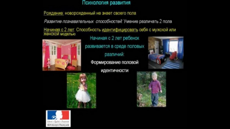 виндаль25-2 Как устроен мозг