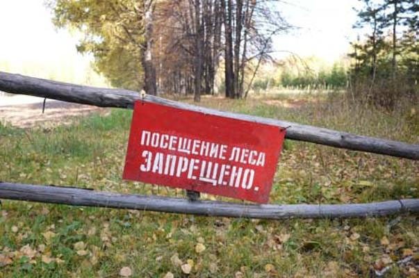 Иду по лесу и вдруг, бац, альбац....штраф 300баксов ))