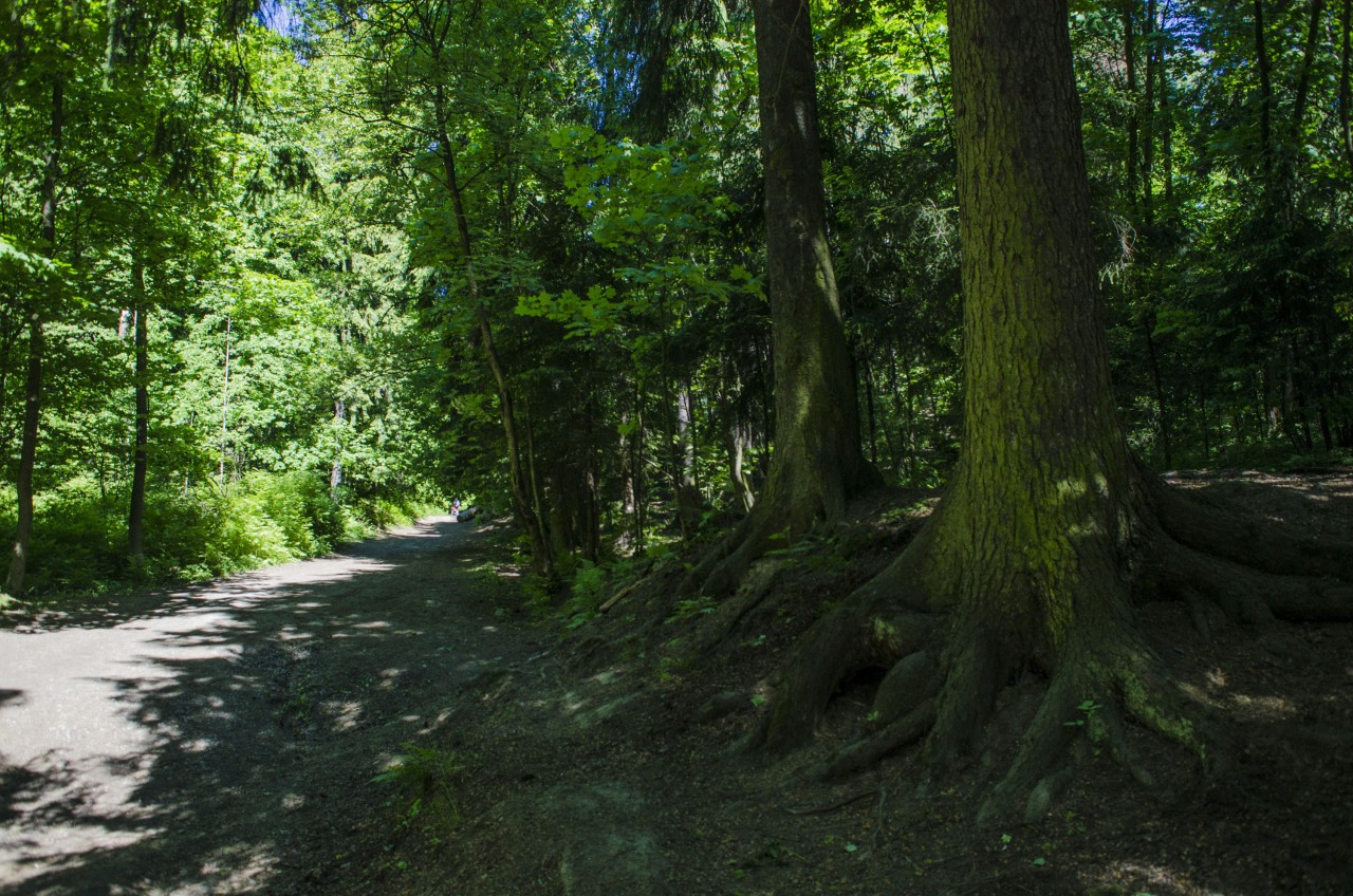 Шуваловский Парк Санкт Петербург Фото – Telegraph
