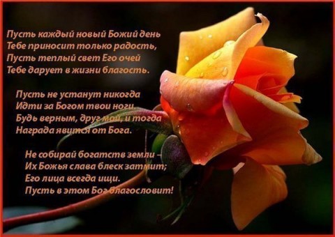 Пожелания и притчи в день рожденья Пожелания и притчи в день рожденья
