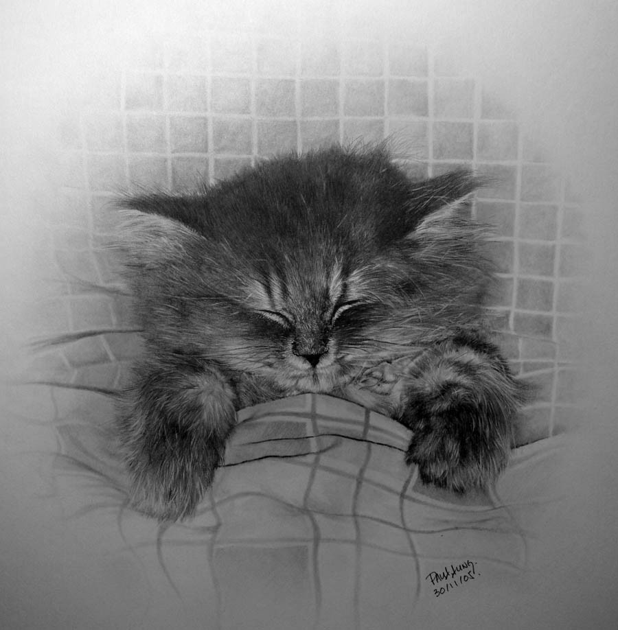 Гиперреализм, карандаш и котики Гиперреализм, карандаш и котики коты, художники