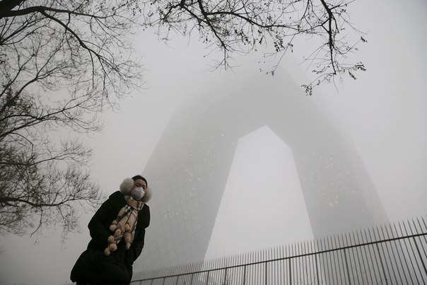 2015 год, люди покупают воздух. 2015 год, люди покупают воздух.