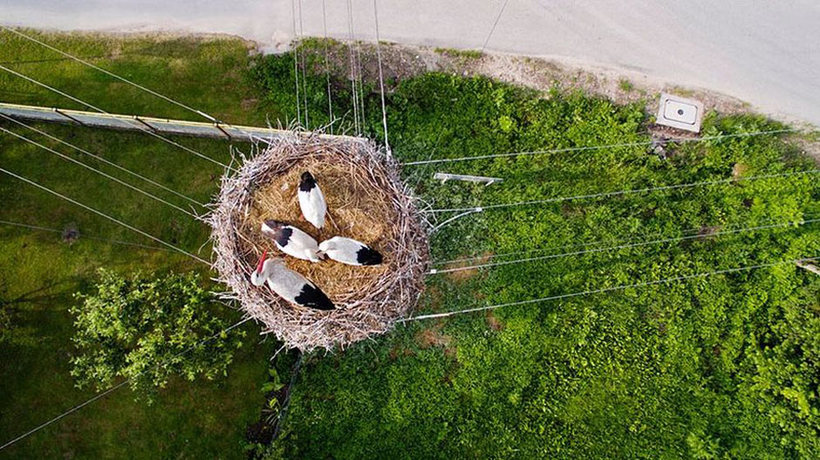 20 завораживающих фото со всего мира, сделанных дронами 