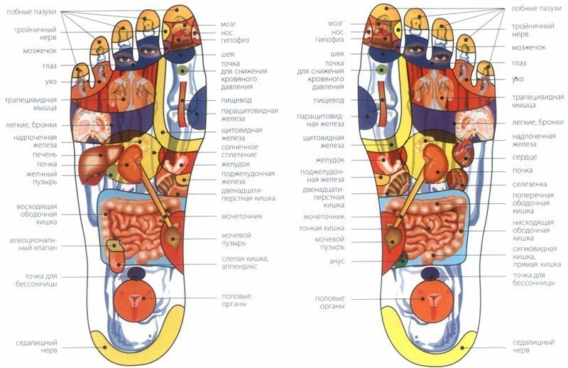 ������� ������ �� ��� ������ �����