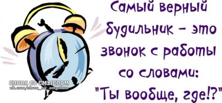 Прикольные, позитивные фразочки в картинках Прикольные, позитивные фразочки в картинках