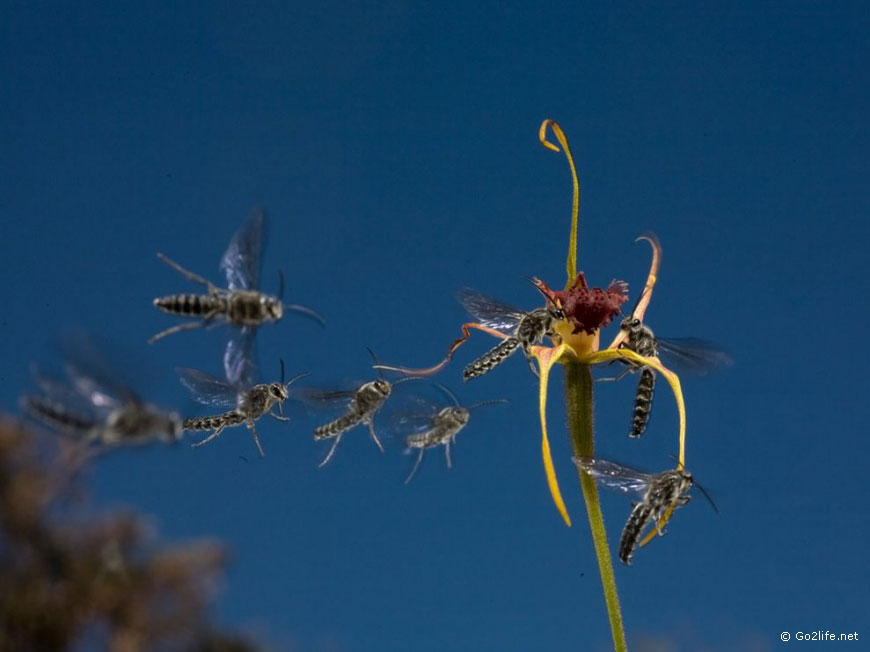 25 лучших фотографий National Geographic. Часть 1