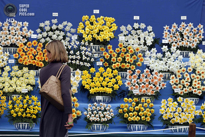 Выставка цветов и ландшафтного дизайна Chelsea Flower Show 2014