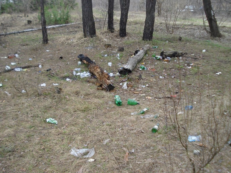 Посадил 500 желудей, но лучше не сажал бы Посадил 500 желудей, но лучше не сажал бы