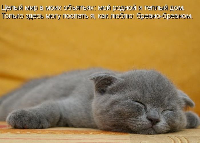Котоматрица. Часть 2. (45 фото)