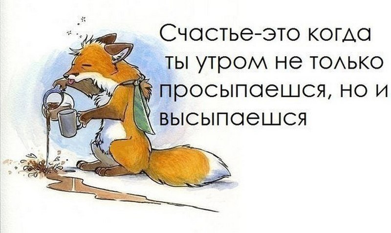 Убойные шутки для настроения. Чистый позитив! Убойные шутки для настроения. Чистый позитив!