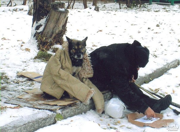 Мгновения жизни, которые заставляют задуматься Мгновения жизни, которые заставляют задуматься