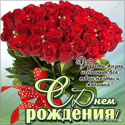 Поздравления с днём рождения картинки красивые розы Поздравления с днём рождения картинки красивые розы