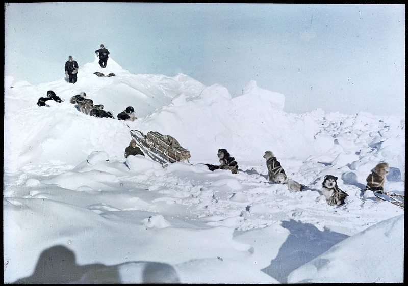 1915 Restored color photograph of members of the Antarctic Shackleton Expedition and their dogs.jpg