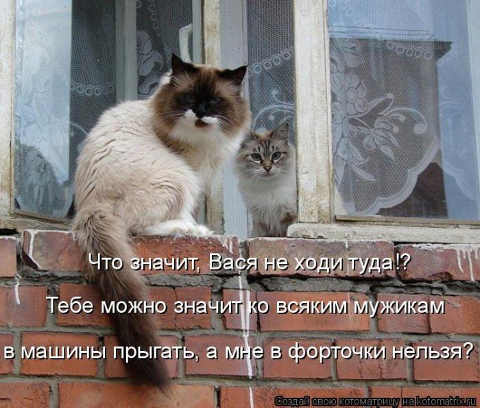 Мысли вслух :)