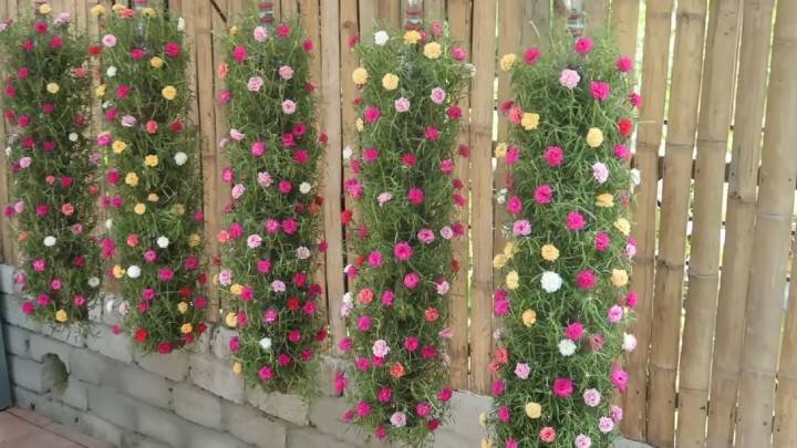 Соберите восхитительный вертикальный сад из пластиковых бутылок и ПВХ труб! Это оригинальный способ преобразить любой участок. Подвесная конструкция из цветов смотрится роскошно.-9