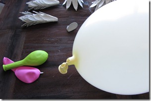 tutorial gallo Cristallo-14