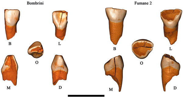 makers_of_protoaurignacian_and_implicati