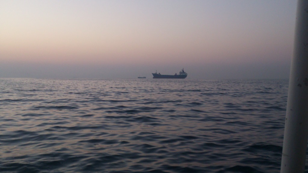  Рыбалка в Персидском заливе персидский залив, рыба, рыбалка