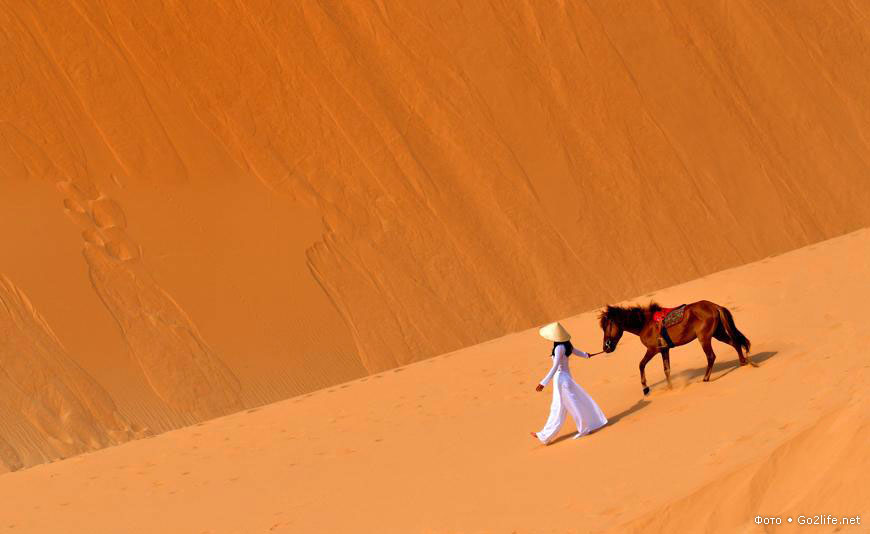 Девушка и лошадь в пустыне