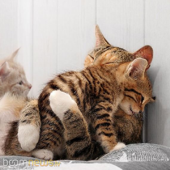 Чудесные малыши! - foto 3