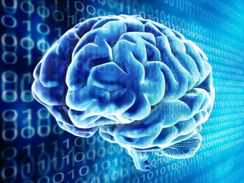 Компания Intel прогнозирует на 2015 год появление первых самообучающихся компьютеров, работающих на принципах головного мозга.