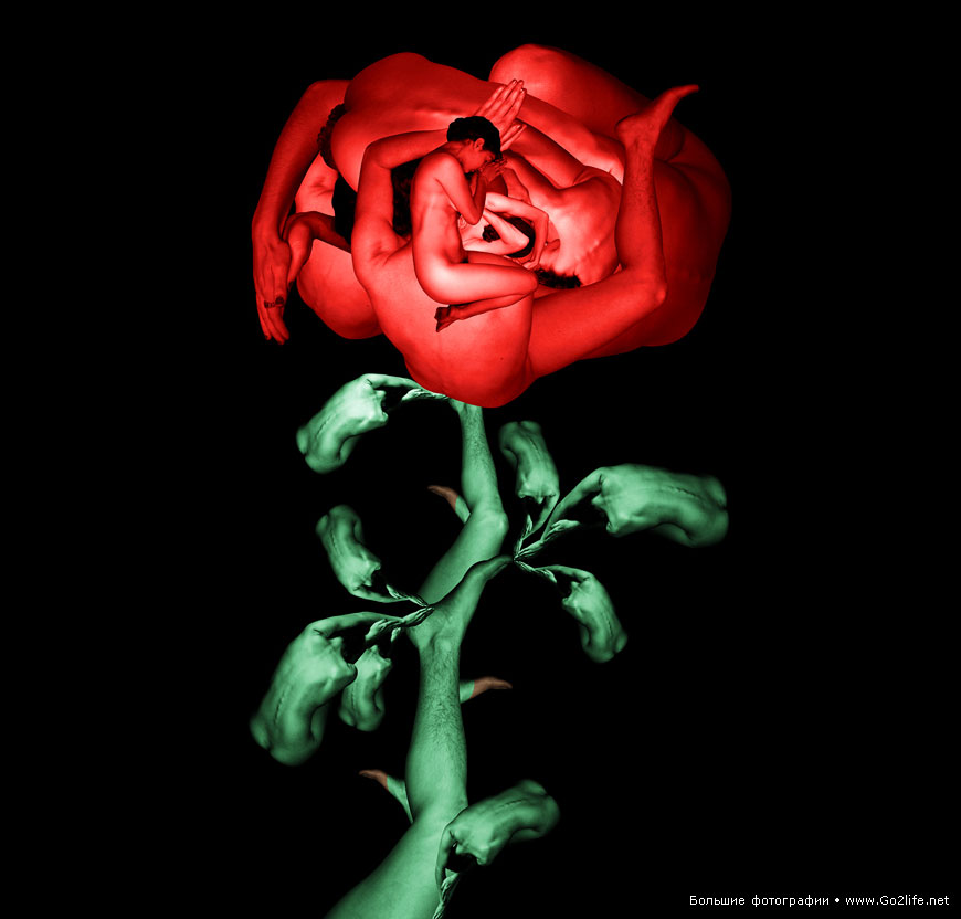 Human Bodies Art