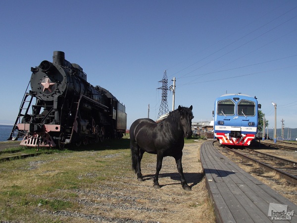 Лучшие фотографии России за 2011 год Лучшие фотографии России за 2011 год