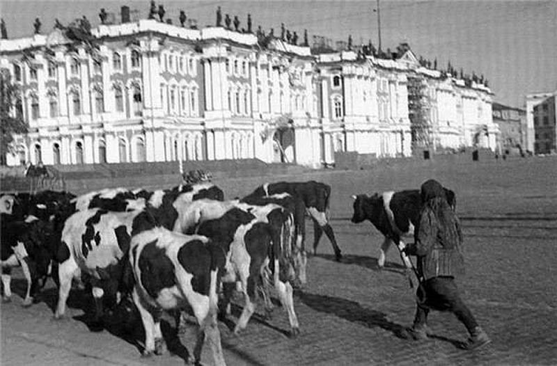 1941. Блокадный Ленинград Увидеть, исторические, фото