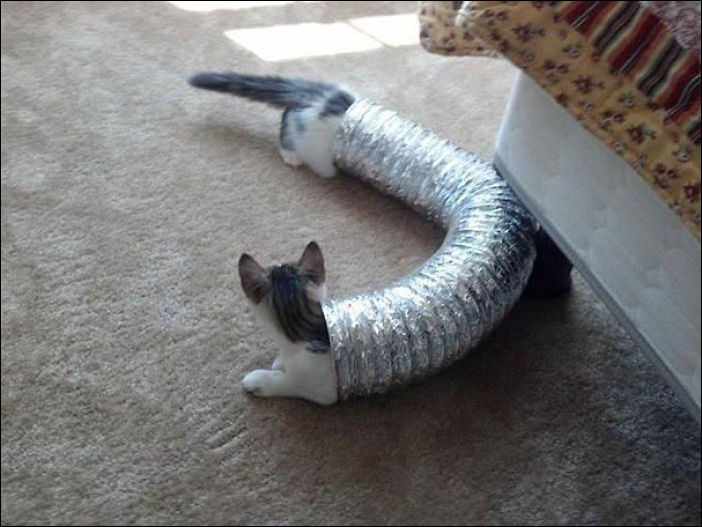  ,       , , 