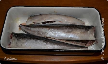 Кулинария Мастер-класс Рецепт кулинарный Улётная Скумбрия без жидкого дыма и прочих трудностей Продукты пищевые фото 11