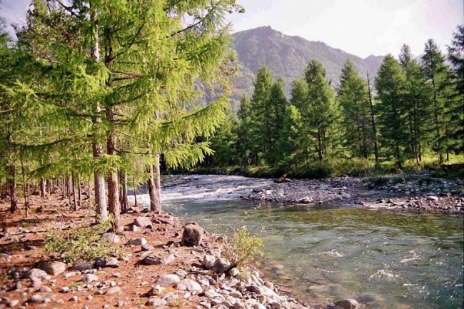 Фотографии с красотами Байкала  (65 фото)