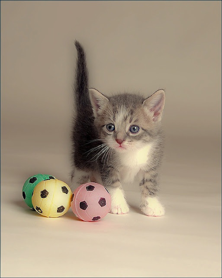 76b4cdaa23c1ecea31d28e681bbfe32f