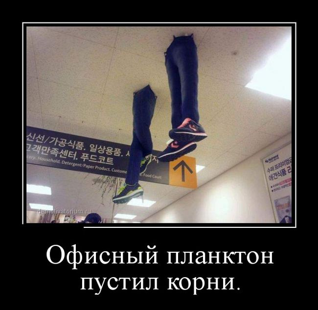 Демотиваторы (30 фото) Демотиваторы (30 фото)