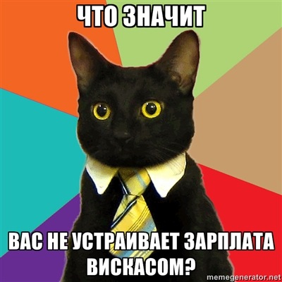 7 звездных котов Интернета