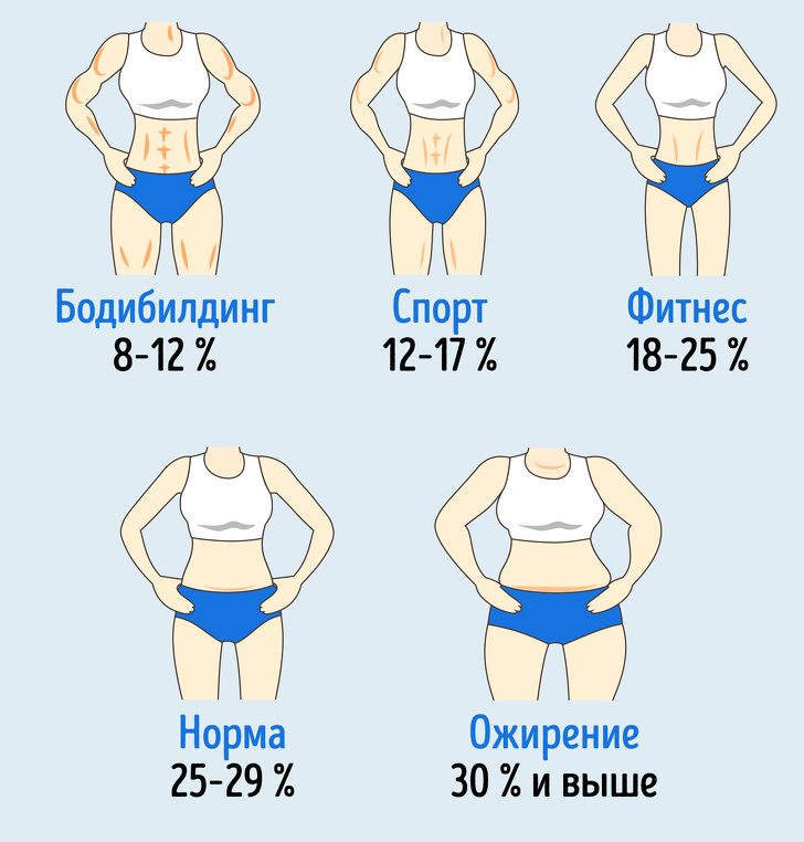 Сколько жира нужно сохранить в организме, чтобы и выглядеть красиво, и проблем со здоровьем не заработать Сколько жира нужно сохранить в организме, чтобы и выглядеть красиво, и проблем со здоровьем не заработать