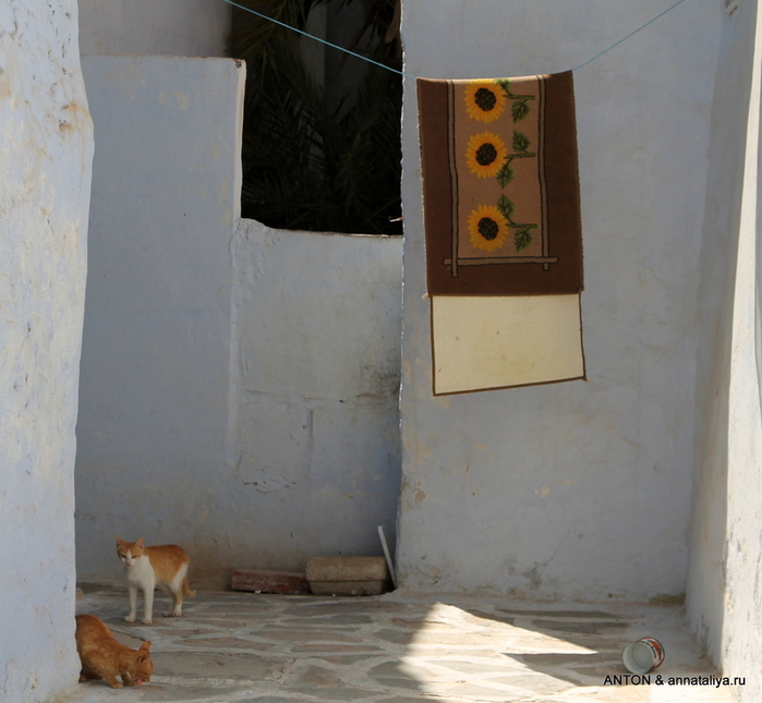 IMG_0466 (700x645, 189Kb)