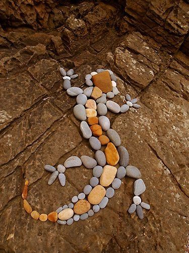 Lizard rocks