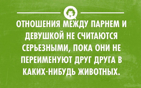 Несколько веселый открыток для поднятия настроения открытки, позитив, прикол, юмор