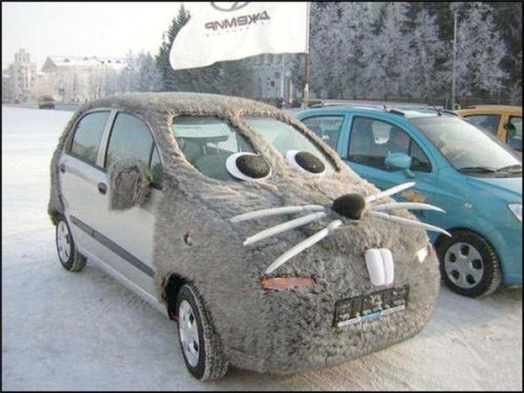 Многие автоледи любыми способами пытаются сохранить тепло в машине зима, прикол, снег, юмор