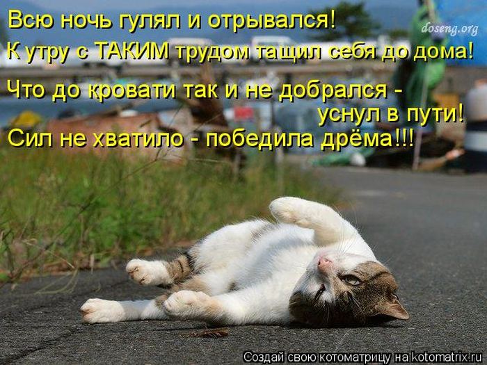 Мысли вслух :)