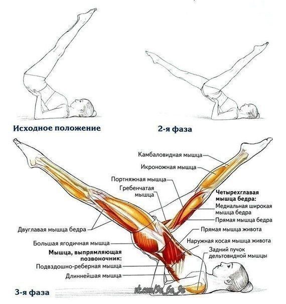 УБРАТЬ ЖИР С НИЗА ЖИВОТА УБРАТЬ ЖИР С НИЗА ЖИВОТА