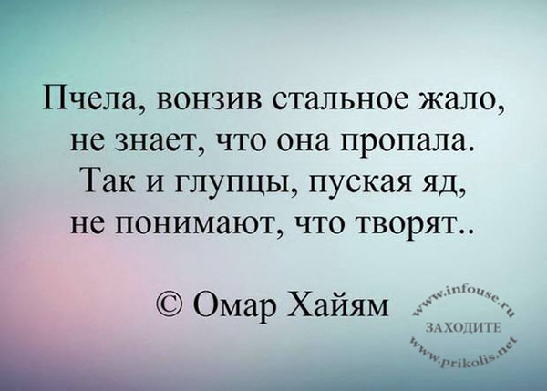 Омар Хайям о мудрости жизни Омар Хайям о мудрости жизни