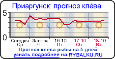 прогноз клева рыбы в челябинской области на 10 дней прогноз клева рыбы в челябинской области на 10 дней