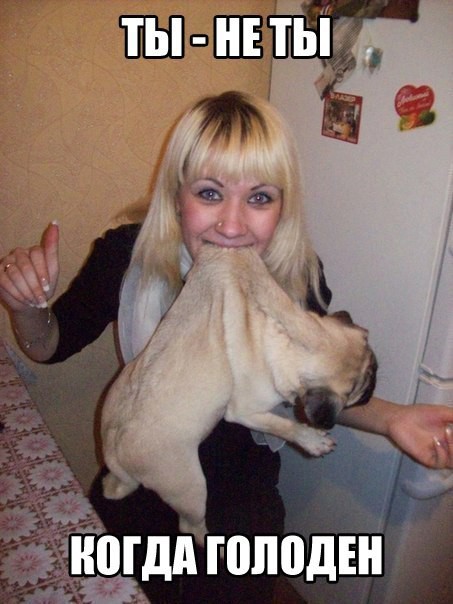 Ты не ты когда голоден! Ты не ты когда голоден, позитив, прикол, юмор