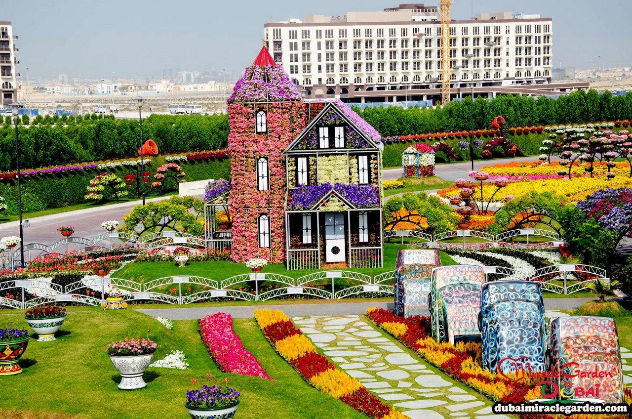 Фантастический  цветочный парк  Дубая Dubai Miracle Garden