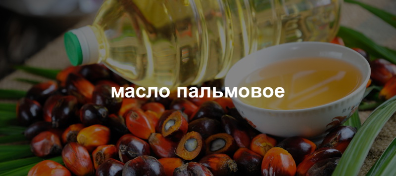 Как вычислить пальмовое масло в продуктах